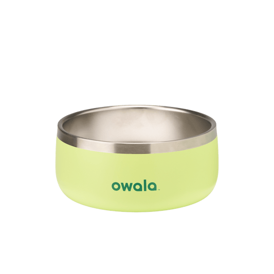 Pet Bowl 7w42q